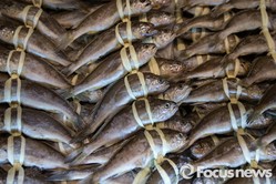 thumbimg