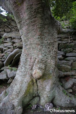 thumbimg